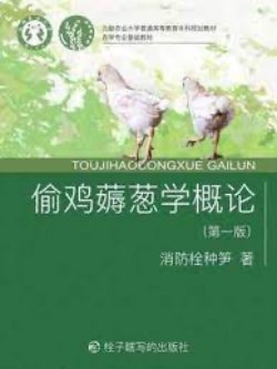 Ăn Trộm Gà Kéo Hành Học Khái Luận